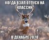 risovach.ru.jpg